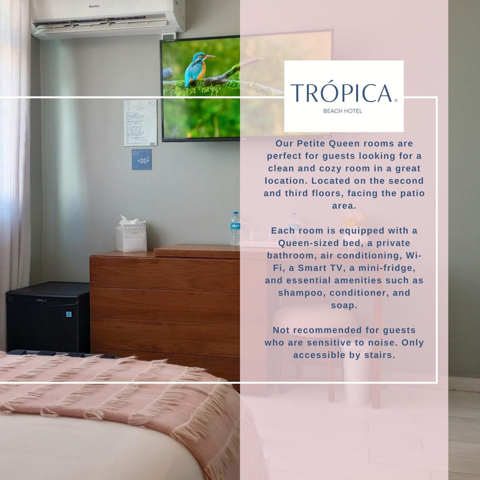 Tropica Beach Hotel (Adults Only) San Juan Oda fotoğraf